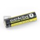 AA battery (R6 LR6) alkaline EverActive - 2pcs 