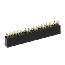 Goldpin karpomų lizdų juosta 2x20 kaiščių 2.54mm - skirta Raspberry Pi