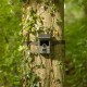 Camouflage EZ-Solar - WiFi - WildcameraXL