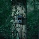 Camouflage EZ-Solar - WiFi - WildcameraXL