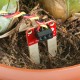 Dirvožemio drėgmės jutiklis, SparkFun SEN-13322