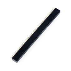 Karpomas lizdas Goldpin 2x40 kaiščių 2.54mm