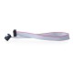 IDC 10 pin female-male cable for printing - 30cm