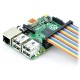 Laidas IDC 40 kontaktų lizdas-lizdas 60cm Raspberry Pi 4B/3B+/3B/2B