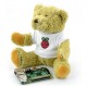 Teddy bear Babbage with Raspberry Pi logo