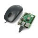 Optical mouse Logitech M100 - black