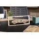Roadster MK3 - 2.5D version - a mechanical model for assembly - veneer - 62 elements - Ugearsmodels