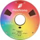 Panchroma PLA 1.75mm 1kg - Brown