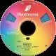 Panchroma PLA 1.75mm 1kg - Stone Blue