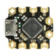 Microcontroller Beetle - ATmega32u4 - DFRobot DFR0282