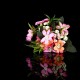 Puluz Photography Display Table Background Board 40cm Black PU5340B