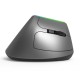 Belaidė vertikali pelė Delux M618DB BT4.0 + 2.4Ghz RGB