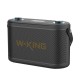 Wireless Bluetooth Speaker W-KING H10 120W (black)