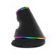Laidinė vertikali pelė Delux M618Plus 4000DPI RGB