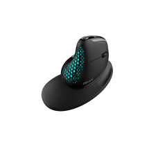 Wireless ergonomic mouse Delux M618XSD BT+2.4G RGB