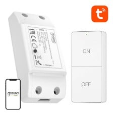 Gosund SW20 10A WiFi Smart Switch + Remote Control, Tuya