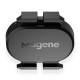 Speed cadence sensor Magene S314