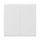 Smart WiFi touch wall switch Sonoff TX T5 2C 2 channels
