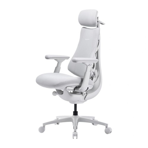 LiberNovo OC1-PRO 48cn Ergonomic Chair (White) LiberNovo OC1-PRO 48cn Ergonomic Chair (White)