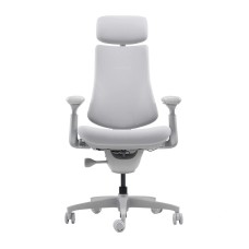 LiberNovo Omni Dynamic 45 cm Ergonomic Chair (Gray)