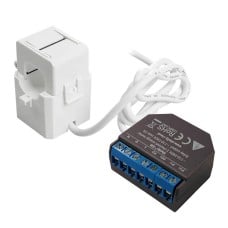 Set Shelly EM + 50A transformer (energy measurement)