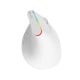 Belaidė vertikali pelė Delux M618C 2.4G 1600DPI RGB - balta
