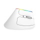 Wireless vertical mouse Delux M618C 2.4G 1600DPI RGB - white