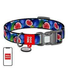 Waudog "Fig" nailoninis šuns antkaklis su QR kodu, M dydis
