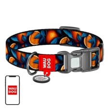 Waudog "Oranges" nylon dog collar with QR code, size L