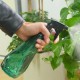 600ml bottle - with atomizer - sprayer - green