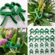Plant clip - 4cm - large - plant mounting -