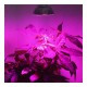 Power LED 1W - 30-40lm - Full Spectrum - 400-840nm - for growing plants and flowers Power LED 1W - 30-40lm - Full Spectrum - 400-840nm - for growing plants and flowers