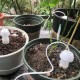Ceramic waterer - white - Automatic dripper for watering plants