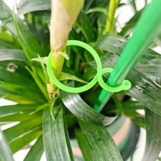 Clip for climbing plants - clip - 10 pcs - plastic clasp