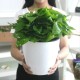 PATIO Self-Irrigation Flowerpot - 22cm White Plastic Flowerpot