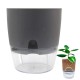 Self-watering Flower Pot - 10.2 cm - White - Automatic Plant Watering