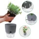 Self-watering Flower Pot - 10.2 cm - White - Automatic Plant Watering
