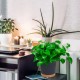 Self-watering Flowerpot - 14.5cm - White - With Irrigation System