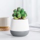 Savaime laistantis gėlių vazonas – 14.5 cm – baltas – su Savaime laistantis gėlių vazonas – 14.5 cm – baltas – su