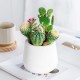 Self-watering Flowerpot - 14.5cm - White - With Irrigation System