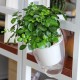 Savaime laistantis gėlių vazonas – 14.5 cm – baltas – su