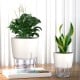 Self-watering flowerpot - white 26.5cm - flowerpot with irrigation system Self-watering flowerpot - white 26.5cm - flowerpot with irrigation system
