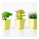 Self-Watering Flower Pot - 14.5cm - White - With Irrigation System Self-Watering Flower Pot - 14.5cm - White - With Irrigation System