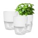 Self Watering Pot - 14.5cm - White - With Irrigation System Self Watering Pot - 14.5cm - White - With Irrigation System