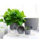Self Watering Pot - 14.5cm - White - With Irrigation System Self Watering Pot - 14.5cm - White - With Irrigation System