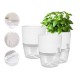 Self Watering Pot - 10.2 cm- White - Automatic Plant Irrigation