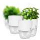 Self Watering Pot - 10.2 cm- White - Automatic Plant Irrigation
