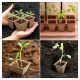 Self-watering Flowerpot - 14.5cm - White - With Irrigation System