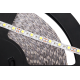25m Rebel LED string (60x5050SMD/m), cool white, 12V 25m Rebel LED string (60x5050SMD/m), cool white, 12V