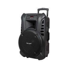 Active speaker (with 2 wireless microphones, SD, Bluetooth, USB) 15" 120W